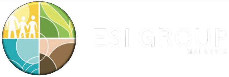 ESI Group